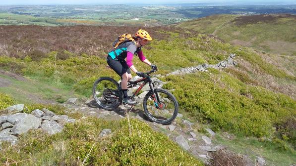 Terrain mountain bike 2025